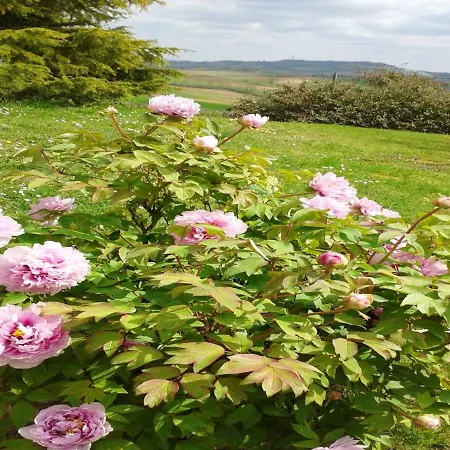 Apartmán Avec Piscine A 40 M² Montpezat-de-Quercy