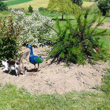 Avec Piscine A 40 M² Montpezat-de-Quercy