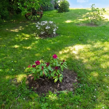 Avec Piscine A 40 M² Montpezat-de-Quercy