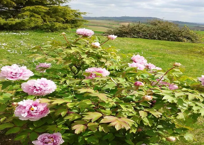 شقة Avec Piscine A 40 M² Montpezat-de-Quercy