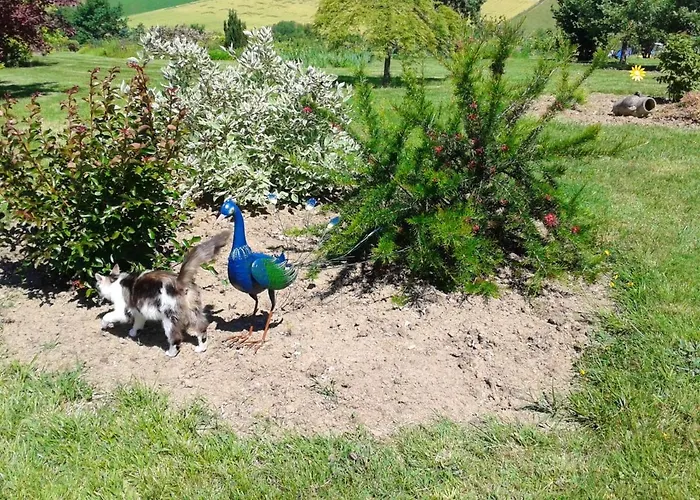 Avec Piscine A 40 M² Montpezat-de-Quercy