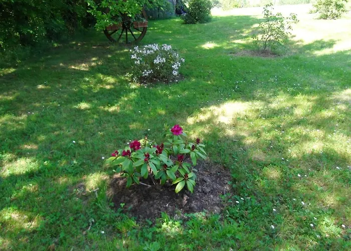 شقة Avec Piscine A 40 M²